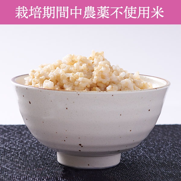 【送料無料】【10kg・栽培期間中農薬不使用米】きたくりん・玄米