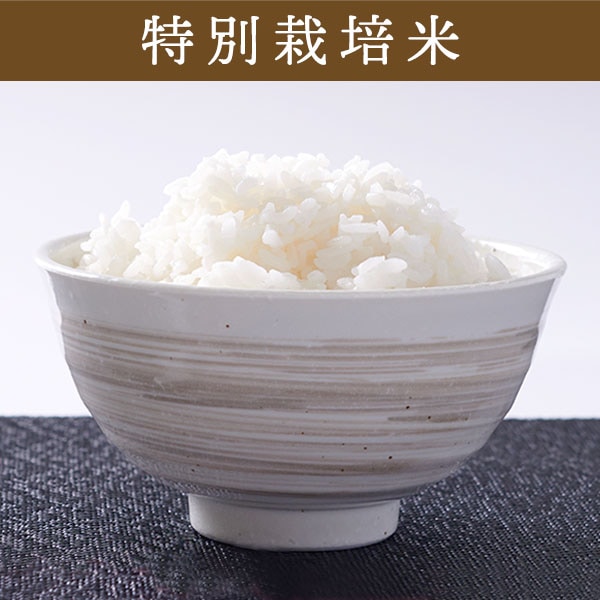 【送料無料】【10kg・特別栽培米】ゆめぴりか・白米