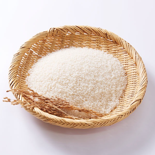 【送料無料】【10kg・栽培期間中農薬不使用米】おぼろづき・白米