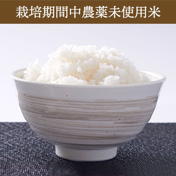 【送料無料】【10kg・栽培期間中農薬不使用米】ゆめぴりか・白米