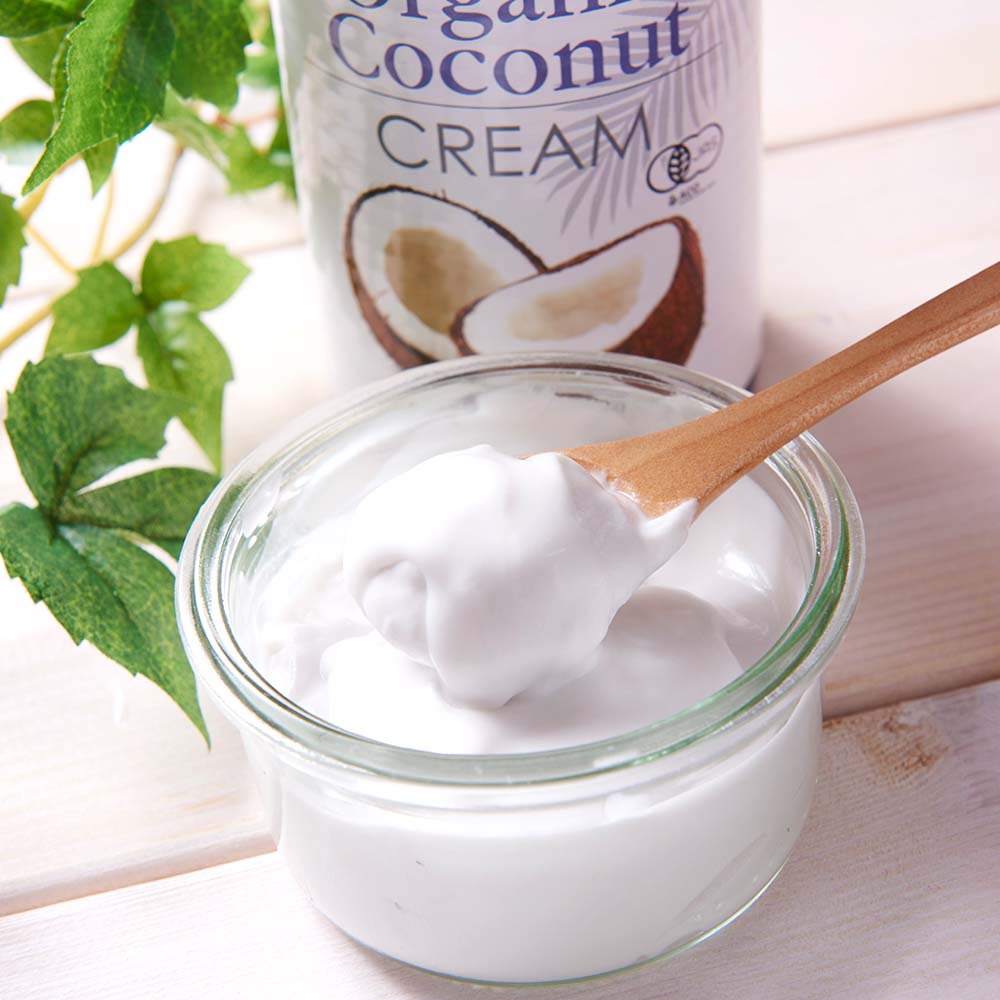 オーガニックココナッツクリーム 24本入(ケース)