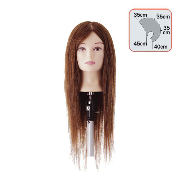 アップスタイル練習用 ウィッグ UP128（ハチ約51cm） カットウィッグの