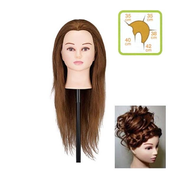 アップ用 人毛ウィッグ UP140 ハチ約51cm カットウィッグ
