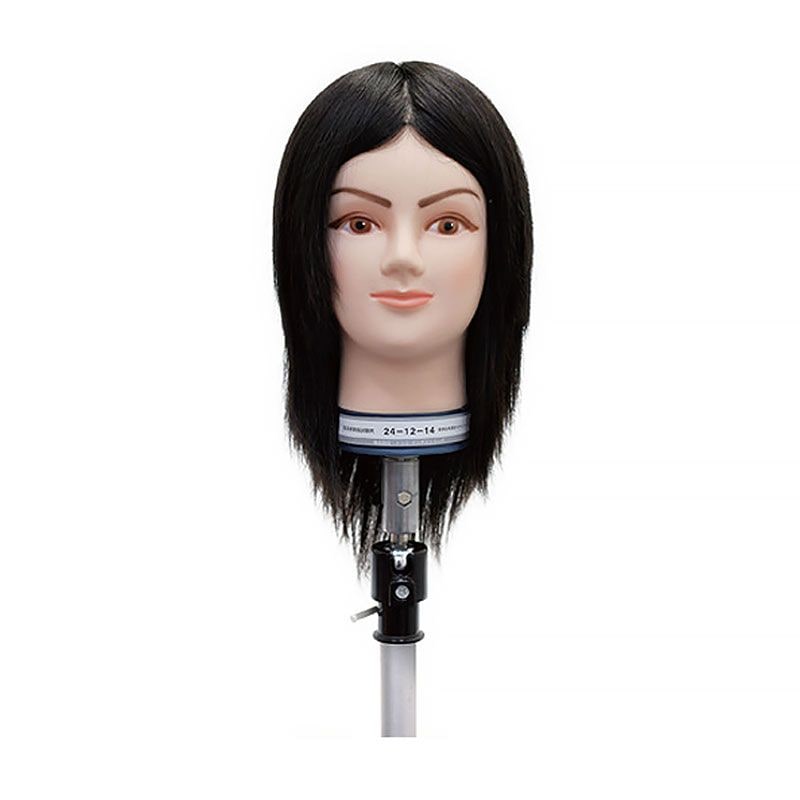 国家試験ウィッグの通販｜美セラ