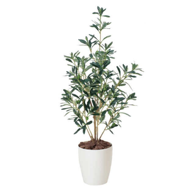 グリーンディスプレイ オリーブ 植栽 人工樹木 観葉植物