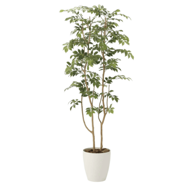 グリーンディスプレイ ショクバイマウンテンアッシュ1.6M 植栽 人工樹木 観葉植物