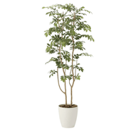 グリーンディスプレイ ショクバイマウンテンアッシュ1.6M 植栽 人工樹木 観葉植物