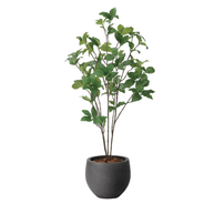 グリーンディスプレイ ナチュラルサラサドウダン0.9M 植栽 人工樹木 観葉植物