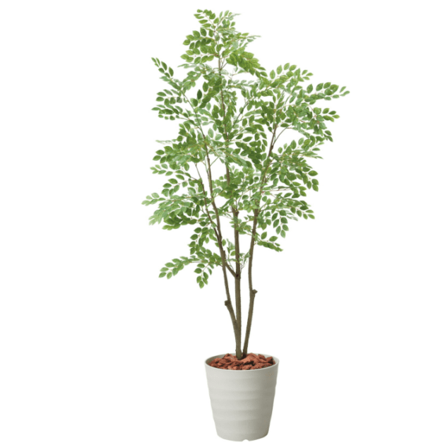 グリーンディスプレイ 180CMトネリコポット 植栽 人工樹木 観葉植物