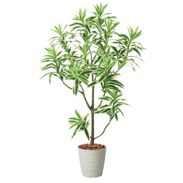 グリーンディスプレイ 115cmドラセナインディア 人工樹木 観葉植物