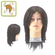 アイビル(AIVIL) アップウィッグ #295 ブラウンの通販｜美セラ