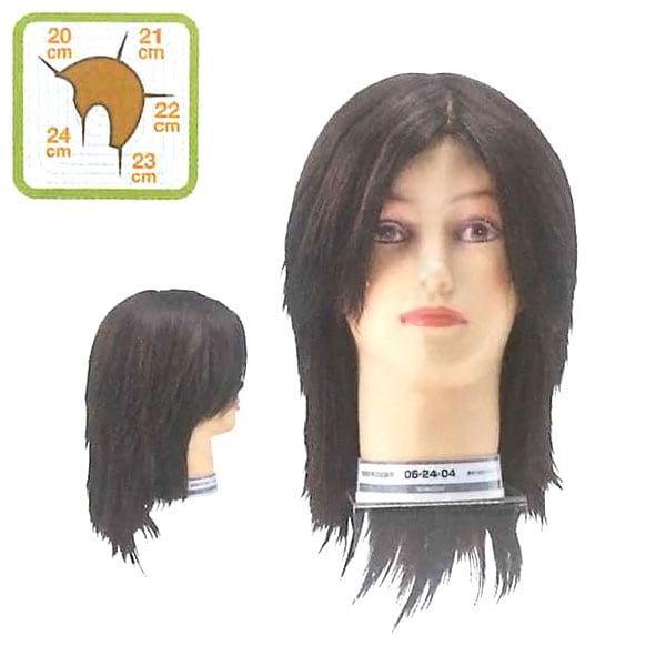 カットウィッグ 06-24-04 国家試験用の通販｜美セラ