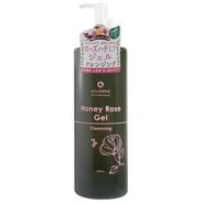 タカラベルモント ノアージュ SLFIP エステスチーマー フェイシャル