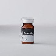 臍帯由来エクソソーム ExoVesicle(エクソベーシクル)パウダー 1箱 3g×5本