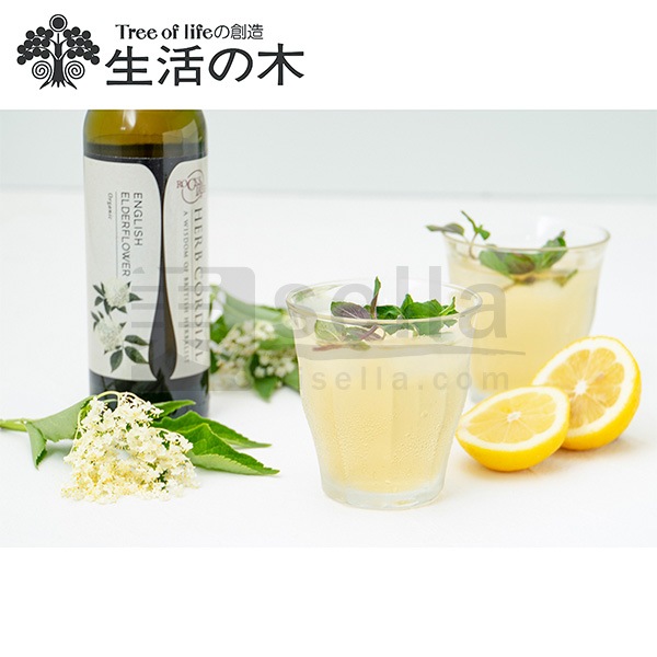 生活の木 ハーブコーディアル 有機イングリッシュエルダーフラワー 360mL