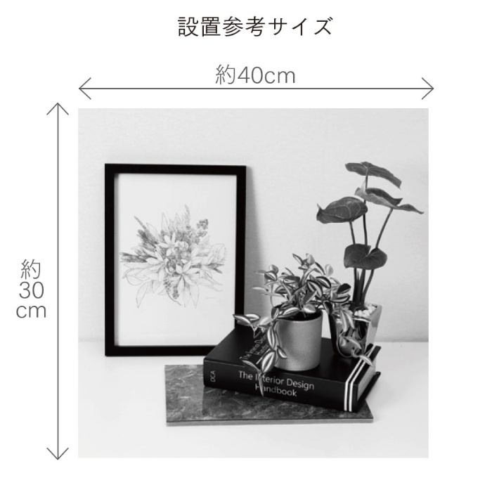 観葉植物 ディスプレイセット グリーンM 人工植栽の通販｜美セラ