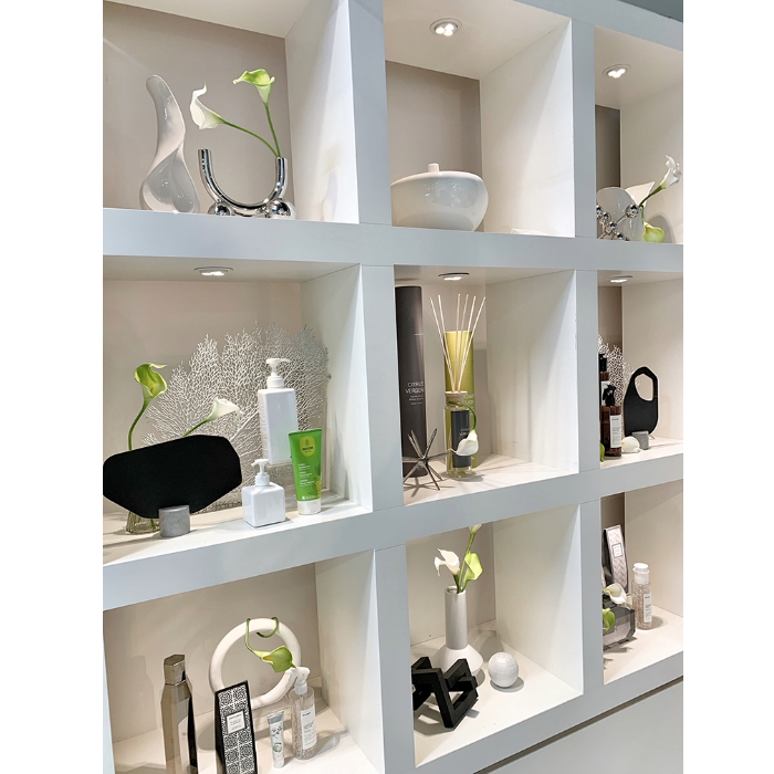 観葉植物 ディスプレイセット グリーンM 人工植栽の通販｜美セラ