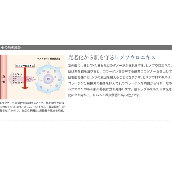 noa noa Luxe（ノア ノア リュクス）ホワイトモイスチャーゲル 120g