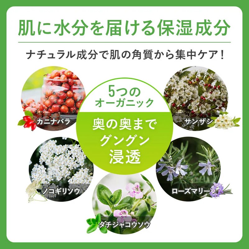 ベルタ マザークリーム 120g BELTAの通販｜美セラ