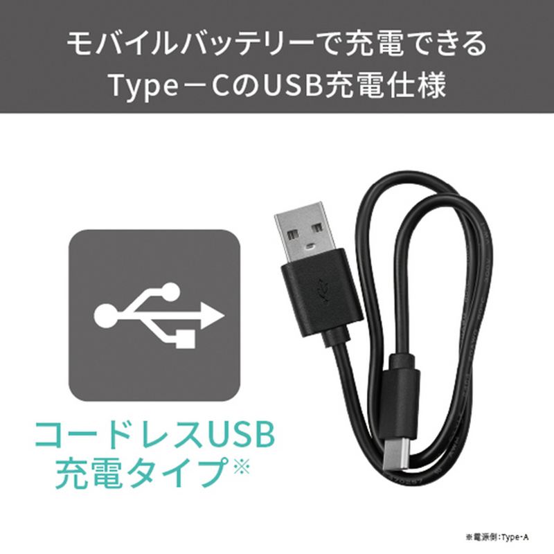 TESCOM USB充電式フェイスシェーバー TK352B