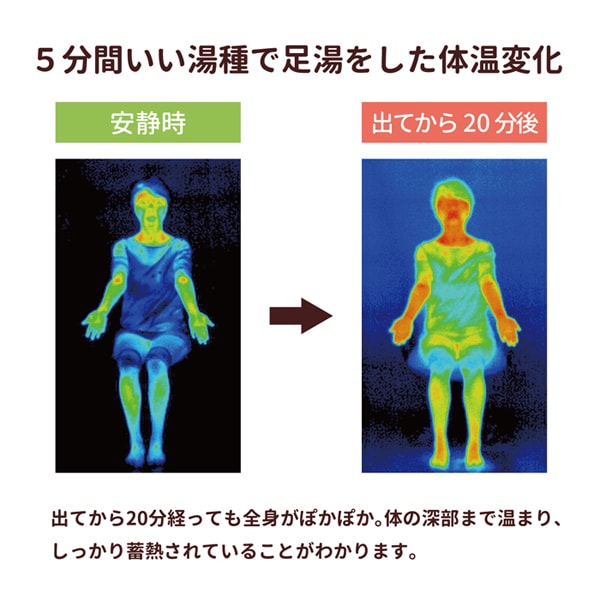 いい湯種 海底火山生まれの天然鉱石1.5 kg「オーラストーン」