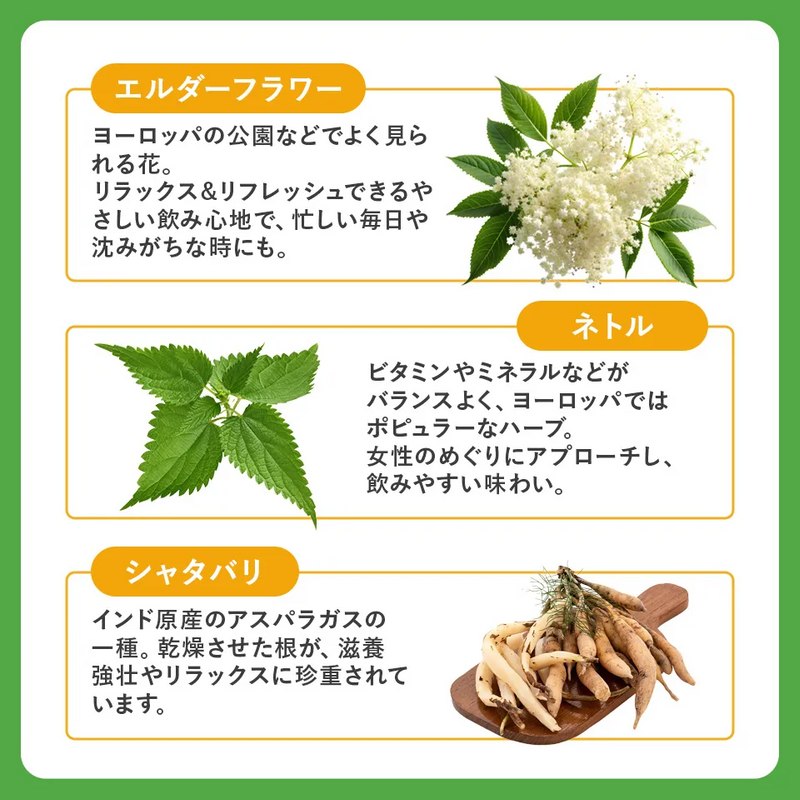 BELTA(ベルタ) ルイボスティー 15包