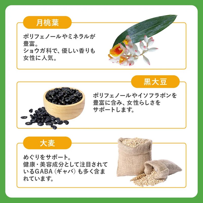 BELTA(ベルタ) ルイボスティー 15包