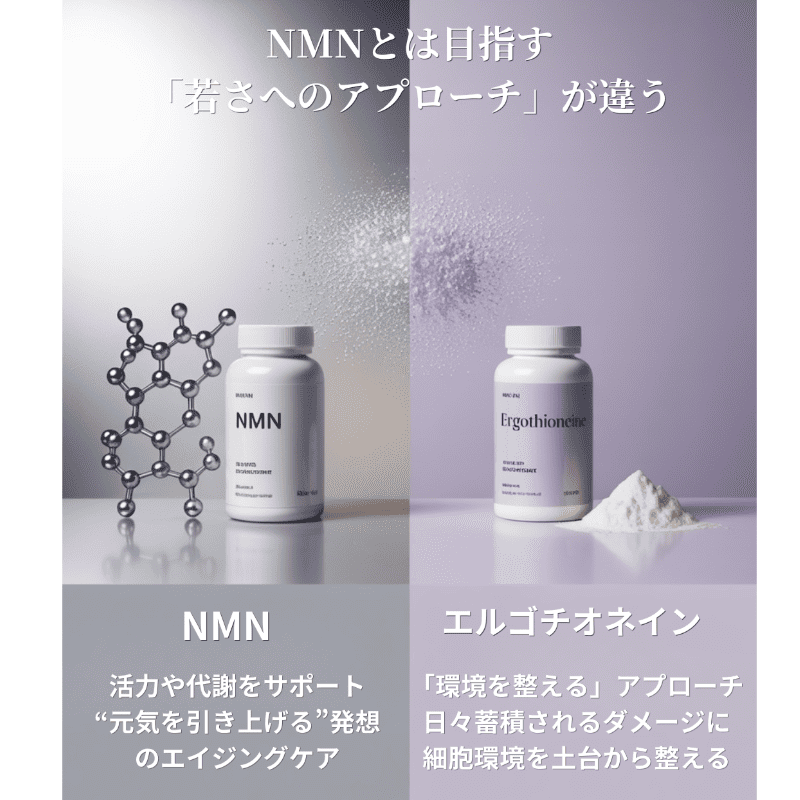 MIRACELLIA CODE20 エルゴチオネイン 60粒 ネクストNMN ミラセリラの