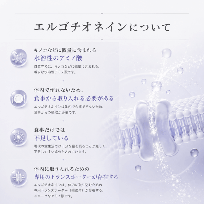MIRACELLIA CODE20 エルゴチオネイン 60粒 ネクストNMN ミラセリラの