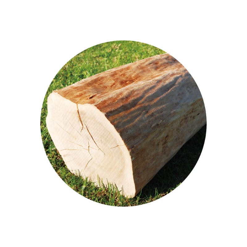 生活の木 サンダルウッド・インド精油 3ml / 10ml