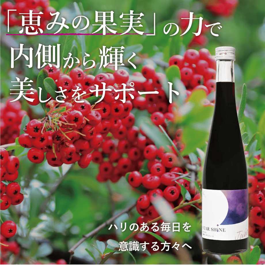 濃縮サンザシ 500ml瓶 化粧箱無し 月星食品 栃木県足利市創業明治28年