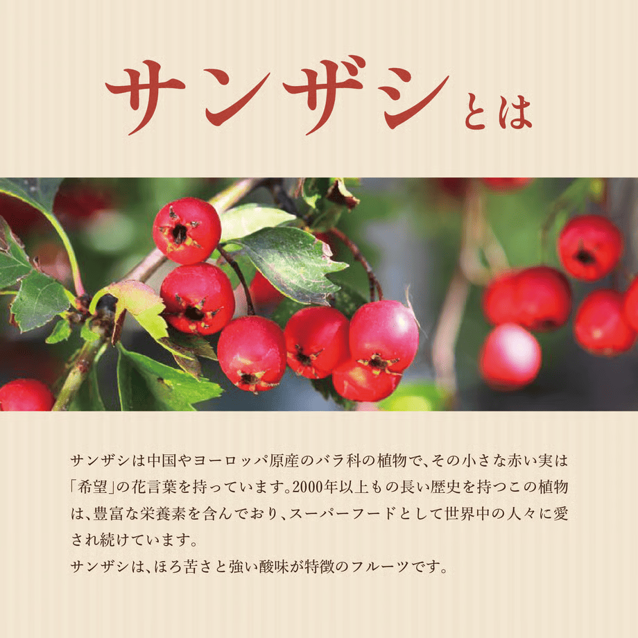 濃縮サンザシ 500ml瓶 化粧箱無し 月星食品 栃木県足利市創業明治28年