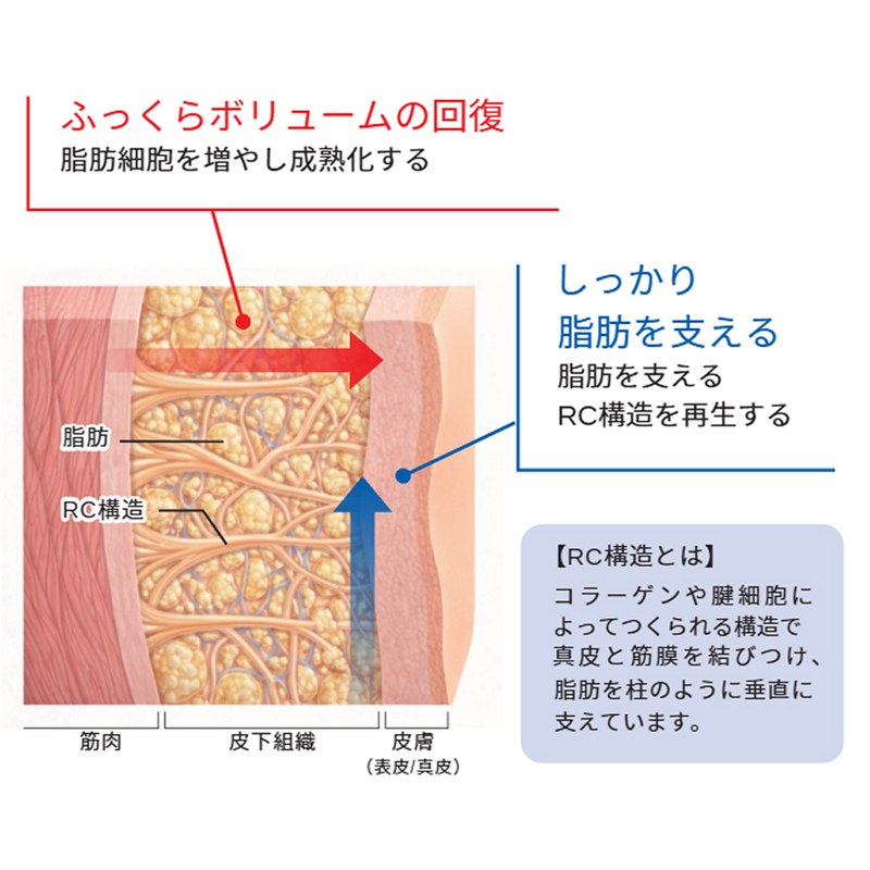 ペプチダーム ターゲットボリュームエッセンス 50mLの通販｜美セラ