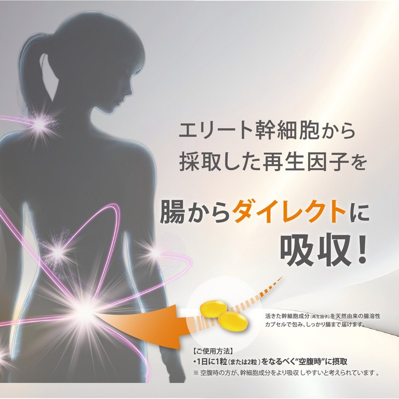 DARWIN バイオリプロ FKチャージ 30粒 の通販｜美セラ