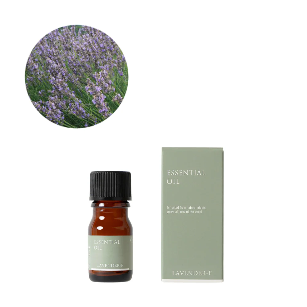 生活の木 ラベンダー・フランス産精油（真正ラベンダー） 3ml / 10ml エッセンシャルオイル