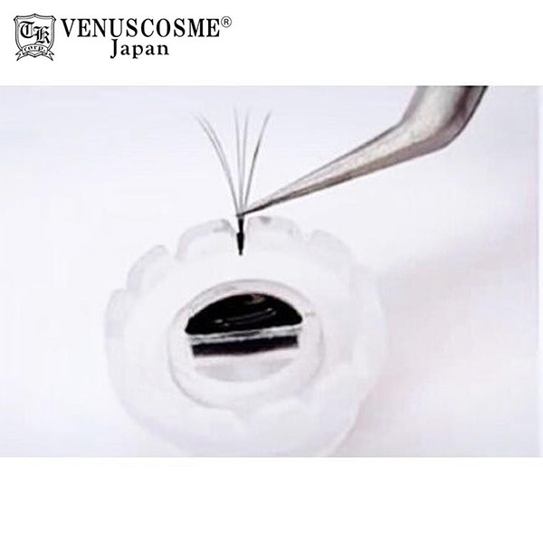 VENUS COSME Volume Glue Cup(ヴォリュームグルーカップ) 50個入り