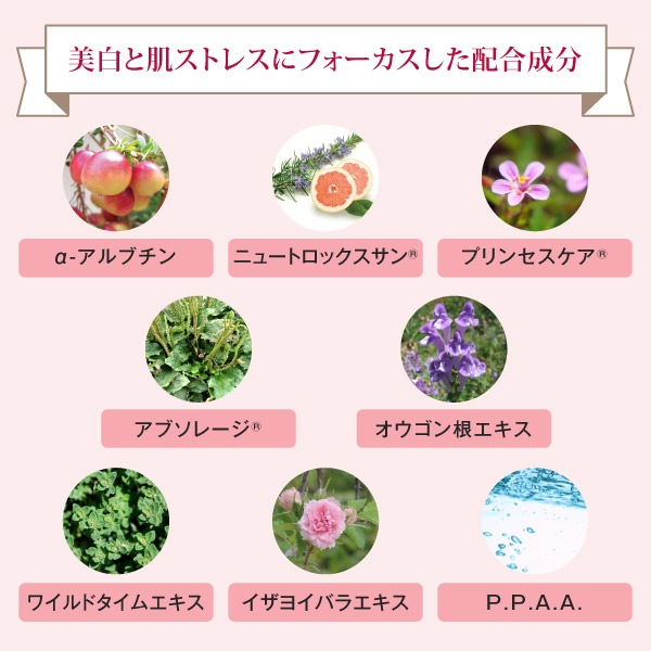 ラシンシア レッドデュアシリーズ WH+ クリーム 150g【業務用