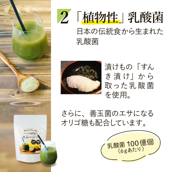 ハーバルスムージー グリーン 約30杯分　カリス成城