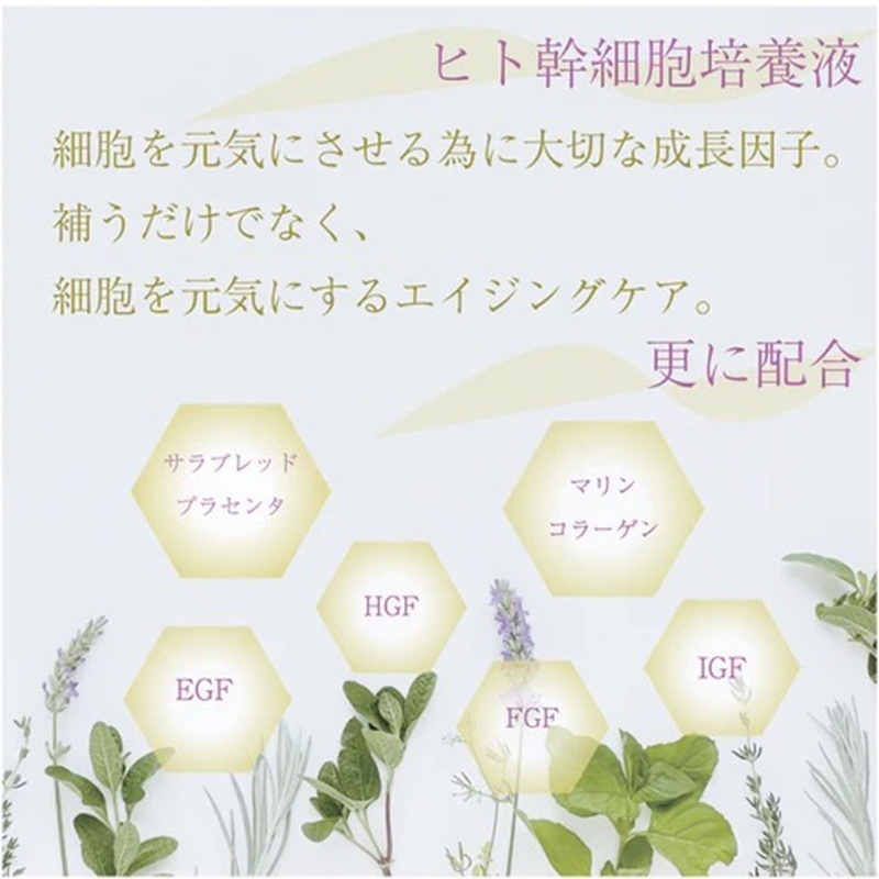 ビエスト化粧品(BiEST) ペルフェクション 50ｍl