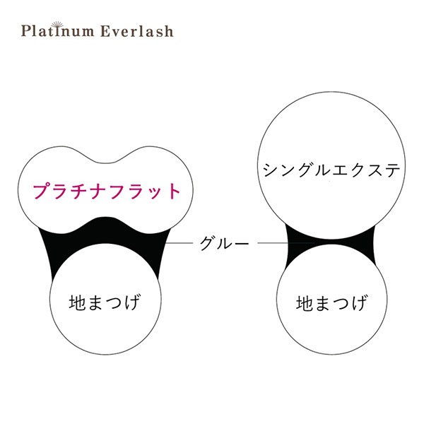 Platinum Everlash プラチナフラットラッシュ バーガンディ Jカール 太さ0.15mm
