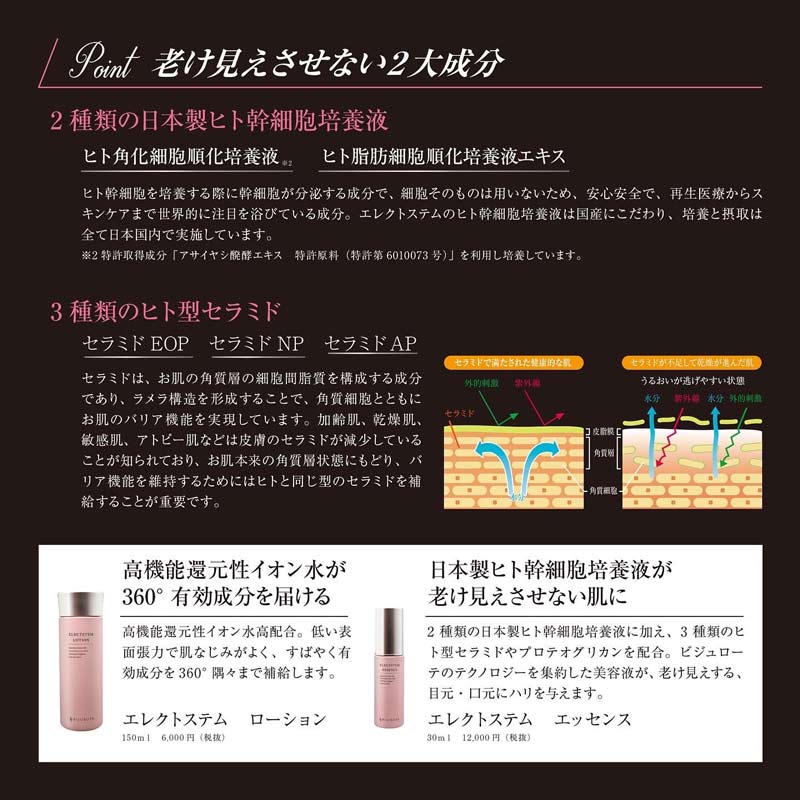 ビジュローテ(BIJUROTE) エレクトステム エッセンス 100mL 業務用