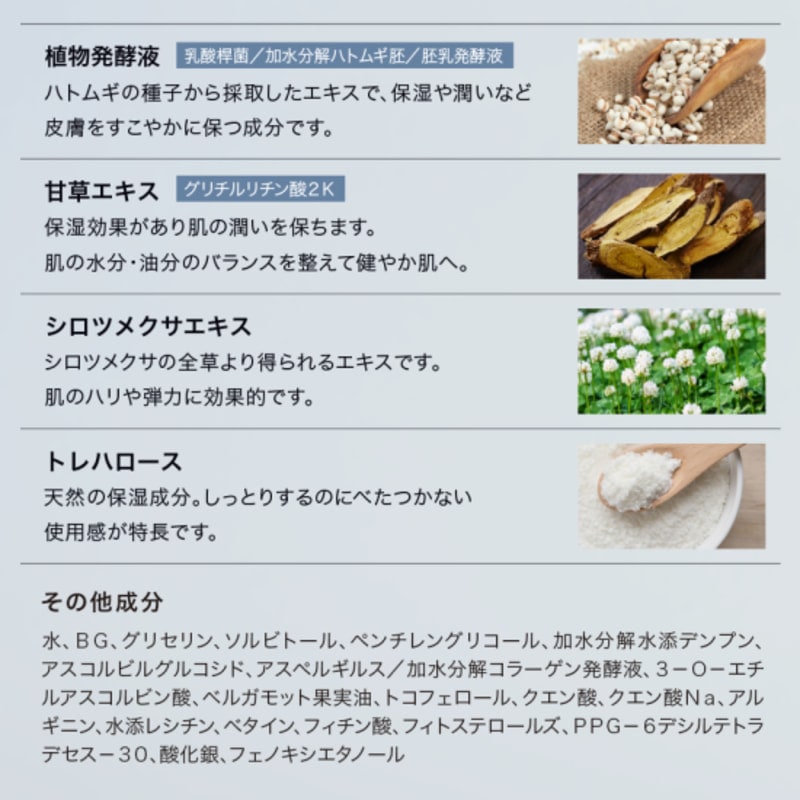 MetaLT SKIN メタエルティスキン 全身美容器MetaLT(メタエルティ)付属