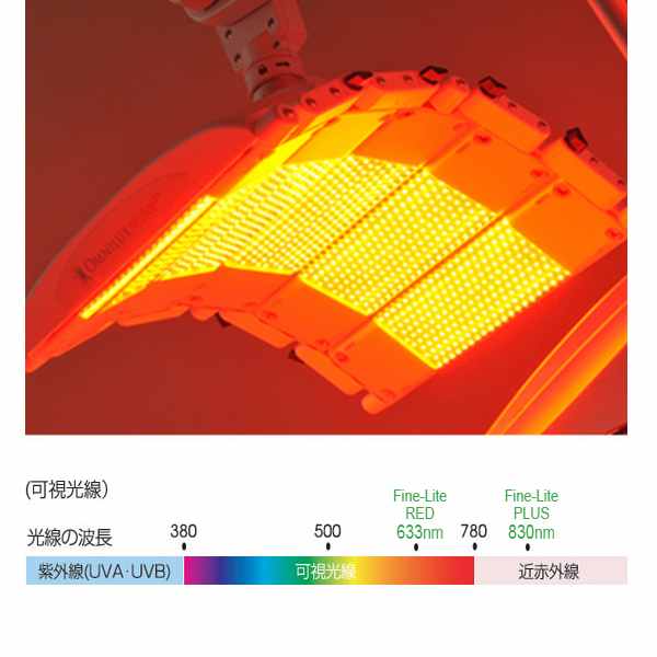 ファインライトレッド アグレックスの商品