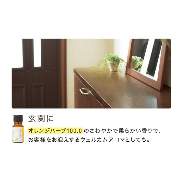 生活の木 空間消臭アロマ オレンジハーブ100.0 10mL