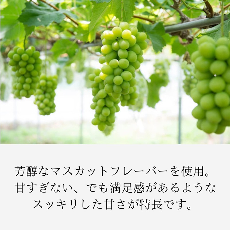 ナチュメディカ トリプルファイバー 30包
