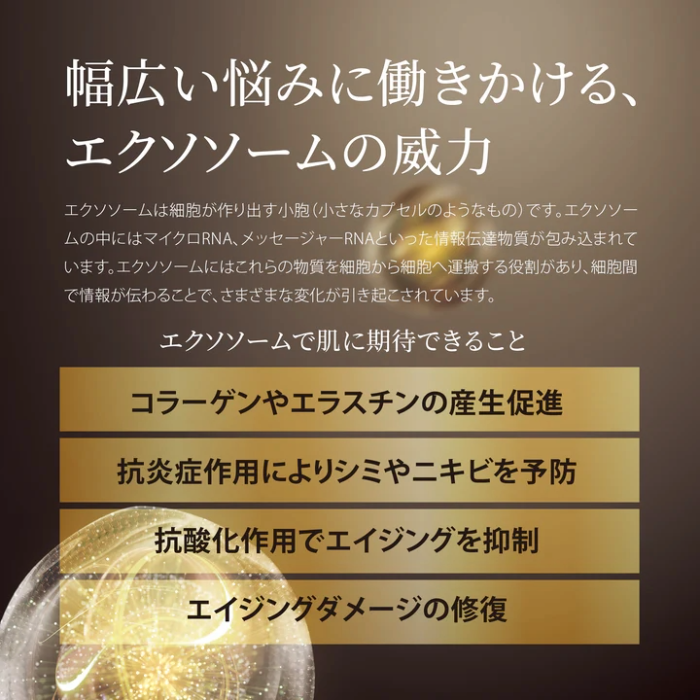 イースペシャル E-XO ザ セラム e-xo 80mLの通販｜美セラ