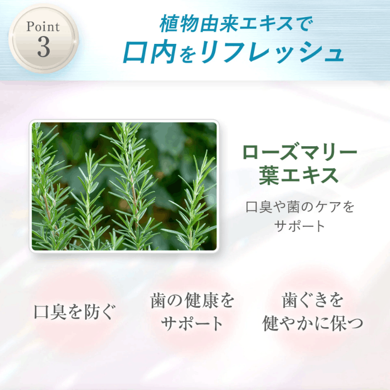 CO シャインホワイトパウダー 20g 歯磨き粉 ホワイトニング 店販可 Co-medical+ シーオーメディカルプラス