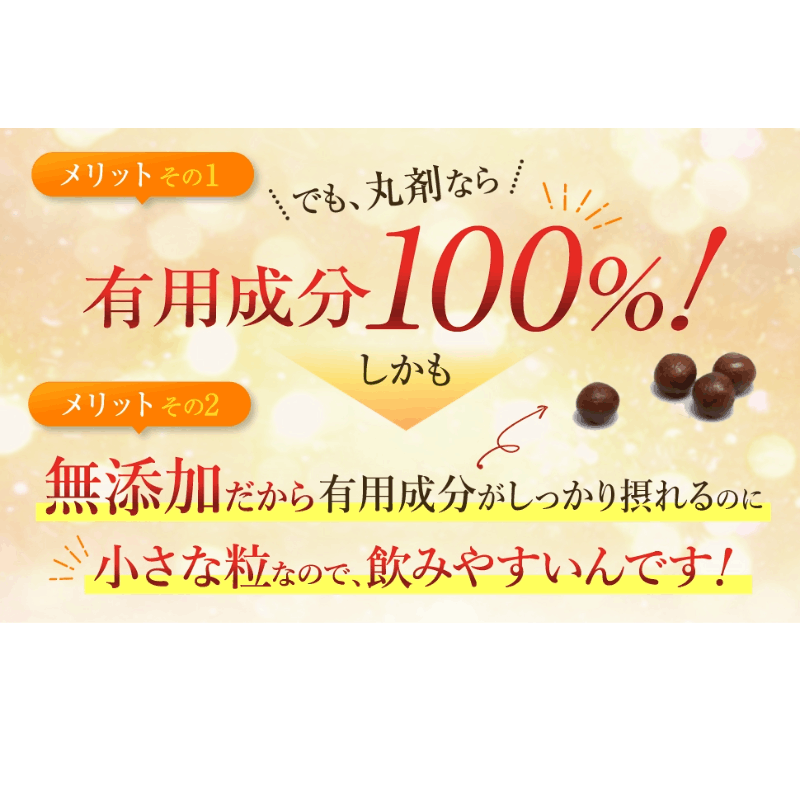 国内産にんにく玉ゴールド 無添加 60粒 12袋 20％OFFの通販｜美セラ