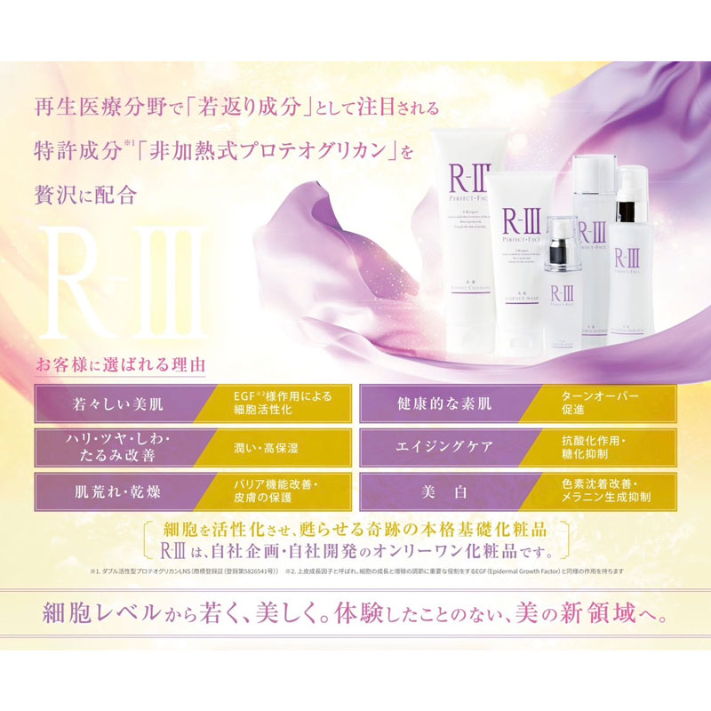 【先着数量限定】R-Ⅲ TOTAL ESUTE美顔器 ＆ R-Ⅲ化粧品 店販サイズ フルセットの商品