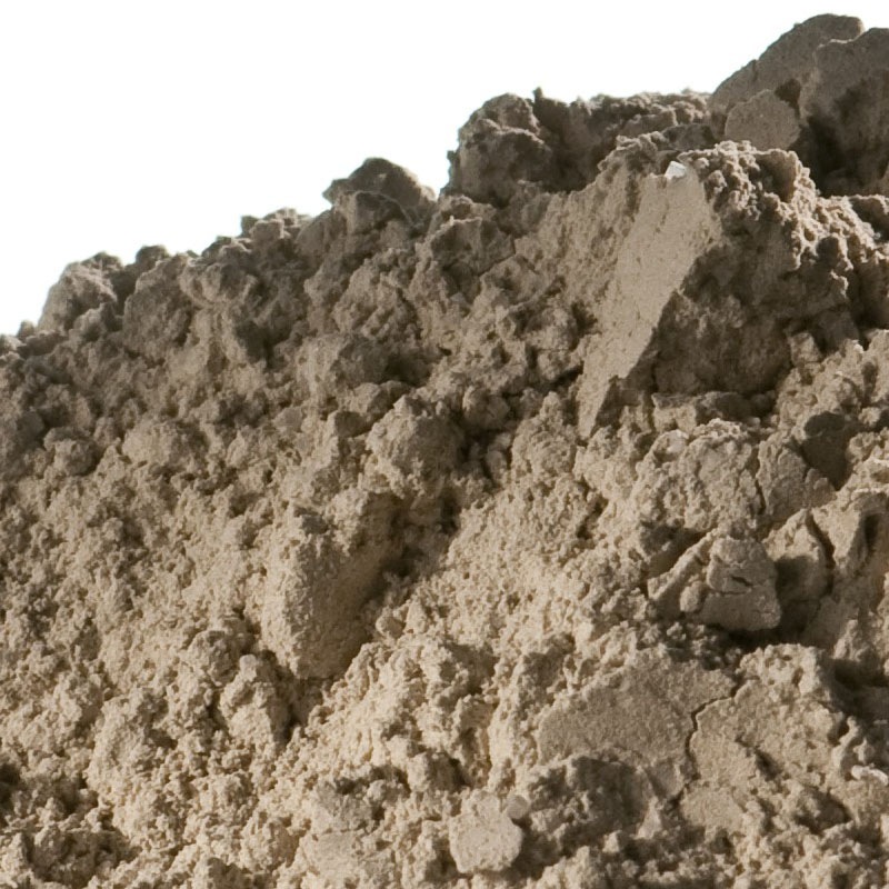 タルゴ マリンアルゲ エッセンシャルマラン 1kgの通販｜美セラ